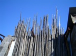 CIMG6181.JPG